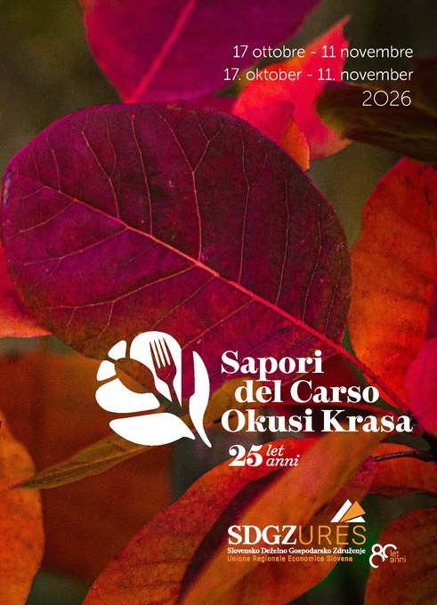 Scarica PDF